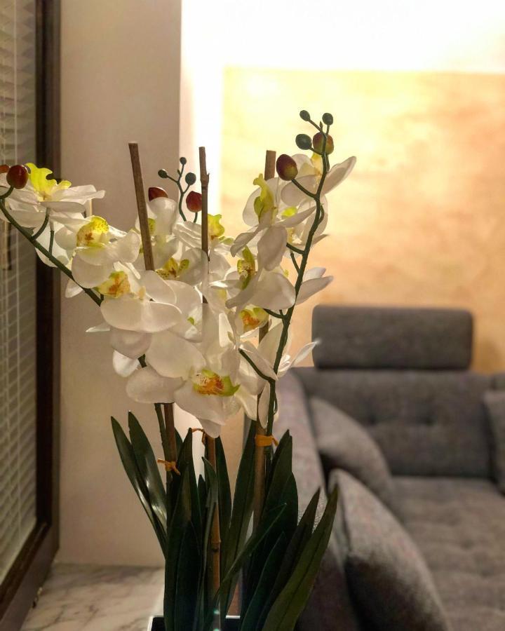 Apartment Landscape - New Modern Apartment Near Bled 지고르니예 고르예 외부 사진